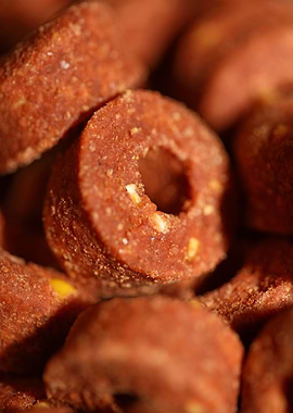 Croquettes pets dry food