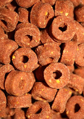 Croquettes pets dry food