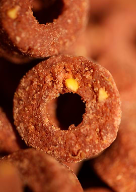 Dog croquette dry food