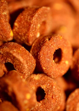 Croquettes pets dry food