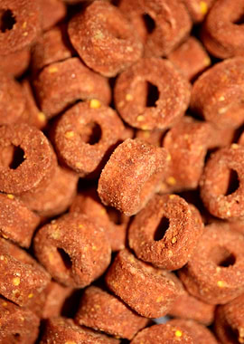 Croquettes pets dry food