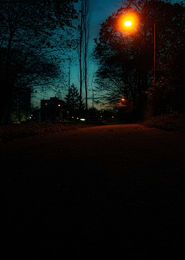 Street in dark