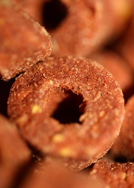 Croquettes pets dry food