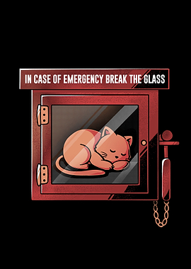 Emergency Cat