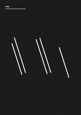 Shanghai Pudong Airport