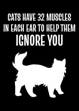 32 Muscles Cat Lover and O