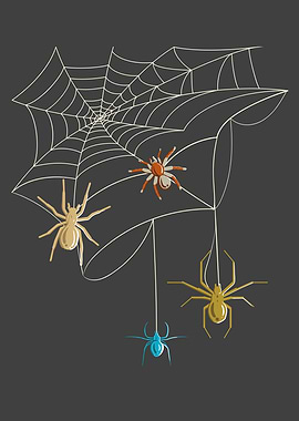 Funny Spiders Acrachnid