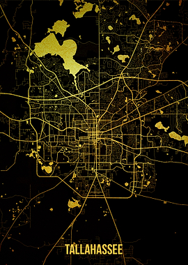 Tallahassee gold map