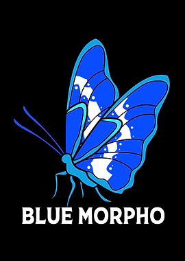 Blue Morpho Butterfly