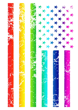 Rainbow American Flag