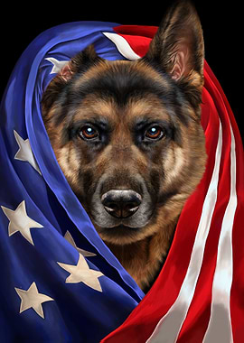 German Shepherd Patriot