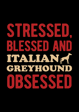 Funny Italian Greyhound