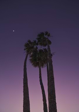 purple night cloud lamp