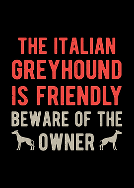 Funny Italian Greyhound