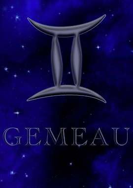 Gemeau Signe Zodiaque