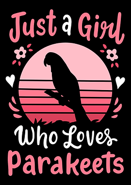 Parakeet Budgie Bird Lover