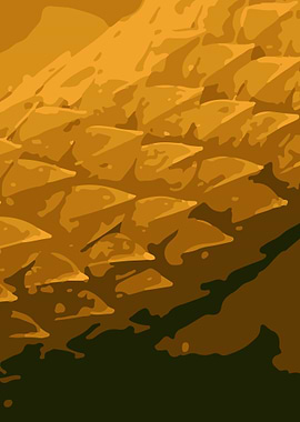 Snake Skin