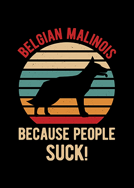 Funny Belgian Malinois