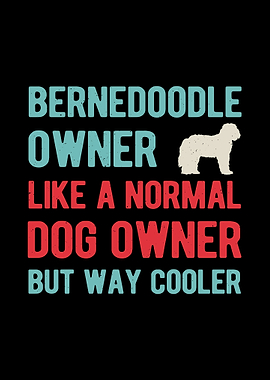Funny Bernedoodle