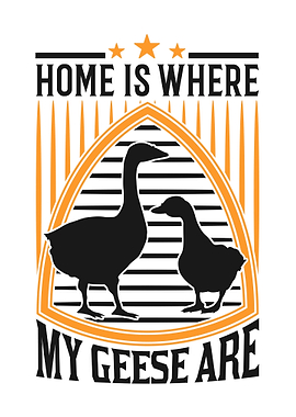 Home Is Where My Geese Are