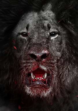 hunter black wild lion