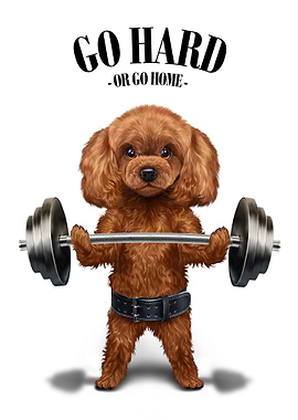 Poodle Dog Weightlifting