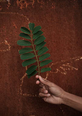 hand people flower green