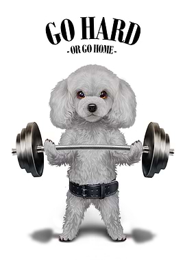 Poodle Dog Weightlifting