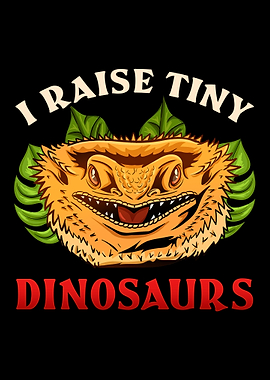 Bearded Dragon Lizard Rept