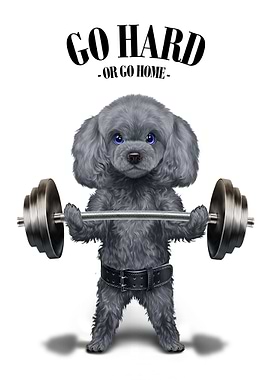 Poodle Dog Weightlifting