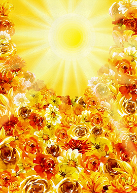 A Ray Of Sunshine