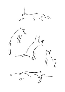 Silhouettes Of Cats II