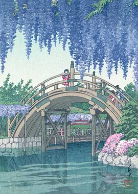 Wisteria At Kameido Shrine