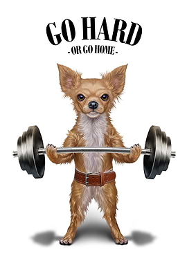 Chihuahua Weightlifting