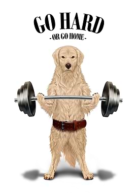 Labrador Dog Weightlifting