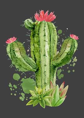 Cute Blooming Cactus