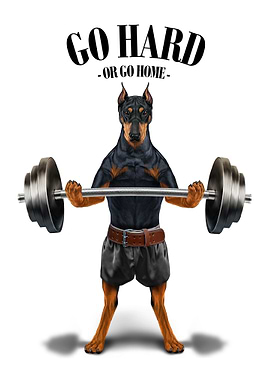 Doberman Weightlifting