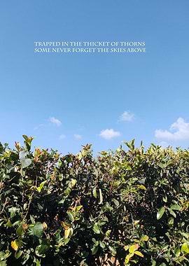 Forget Not The Skies Above