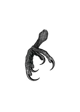 Scarlet Macaw Claw Bird