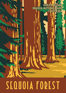 Sequoia Forest WPA