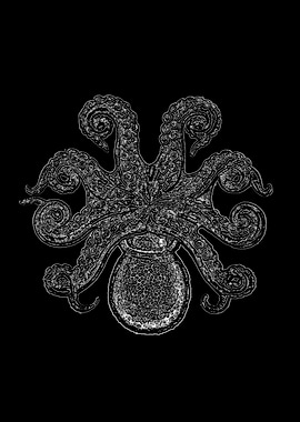 Dark octopus