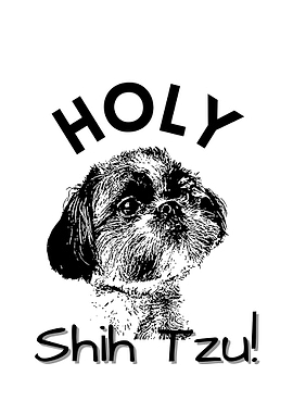 Holy Shih Tzu Cute Dog