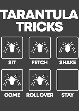 Pet Tarantula Arthropod