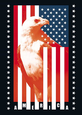 American Eagle USA Flag
