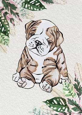 English Bulldog