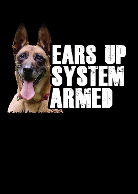 Belgian Shepherd Dog