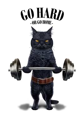 Black Cat Weightlifting