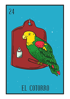 EL COTORRO MEXICAN LOTTERY