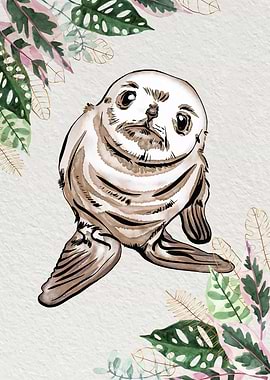 Baby Seal