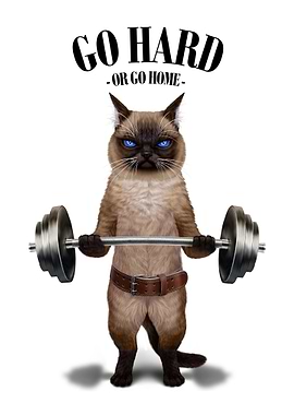 Siamese Cat Weightlifting
